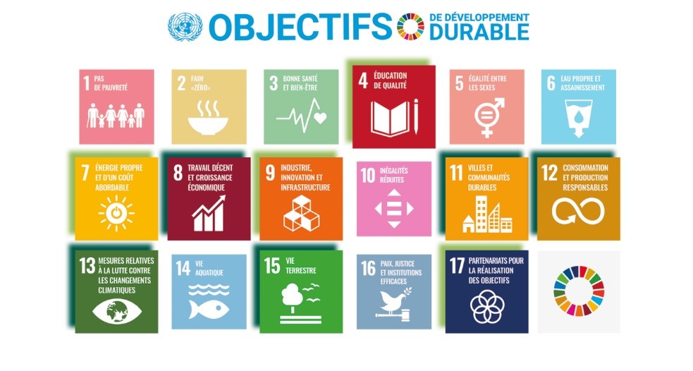 Les 17 ODD des Nations Unies.